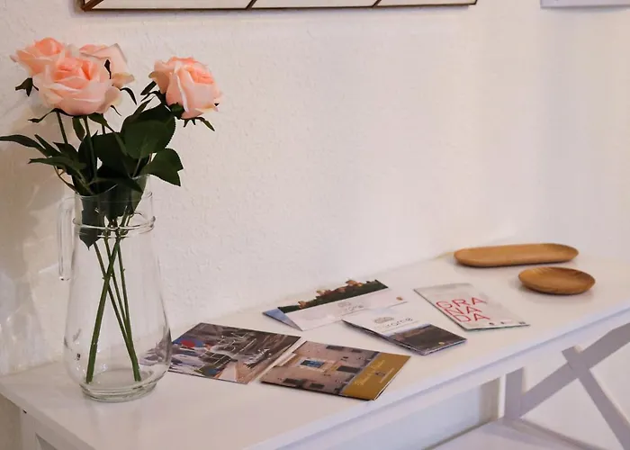 Appartement Mexuear Homes Ganivet *